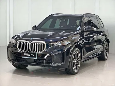 2023 BMW X5 xDrive 40Li Premium M Sport Black Night Package, фото 1, лот 10462752