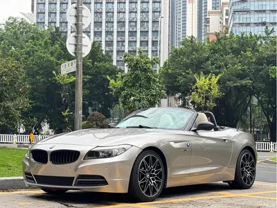 2010 BMW Z4 sDrive35i Luxury Model, фото 1, лот 10477608