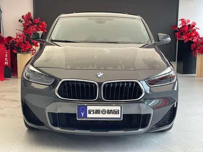 2021 BMW X2 xDrive25i M Off-Road Package, фото 2, лот 10475296