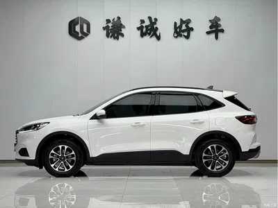 2020 Ford Escape EcoBoost 245 2WD Leisure Edition, фото 4, лот 10296835