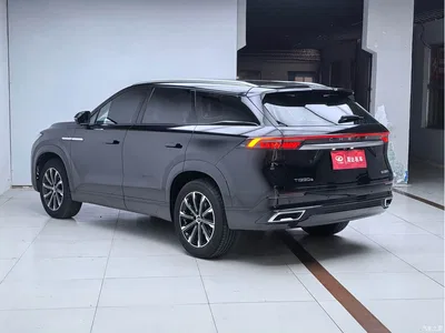2023 Chery Tiggo 9 2.0T DCT 2WD Leading Edition 5-seater, фото 4, лот 11188213