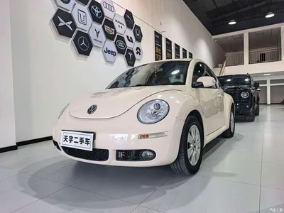 2008 Volkswagen Beetle 2.0 AT Top Configuration, фото 1, лот 10474229