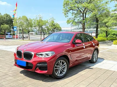2020 BMW X4 xDrive25i M Sport Package, фото 1, лот 11568719