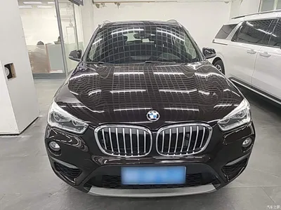 2019 BMW X1 sDrive20Li Leading Model, фото 3, лот 10606711