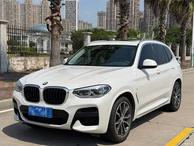 2020 BMW X3 xDrive30i Leading M Sport Package, фото 1, лот 11137513