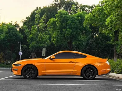 2019 Ford Mustang 2.3L EcoBoost, фото 4, лот 11512489