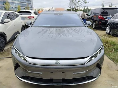2021 BYD Han EV Standard Range Luxury, фото 3, лот 10888419