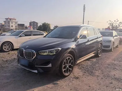 2020 BMW X1 sDrive20Li Premium Edition, фото 2, лот 11002722