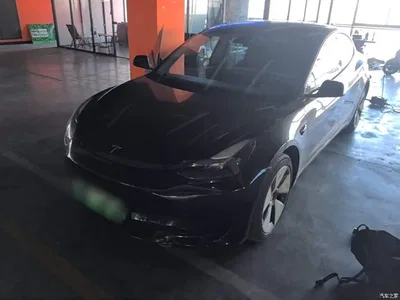 2022 Tesla Model 3 Model Rear-Wheel Drive Version, фото 2, лот 10375370