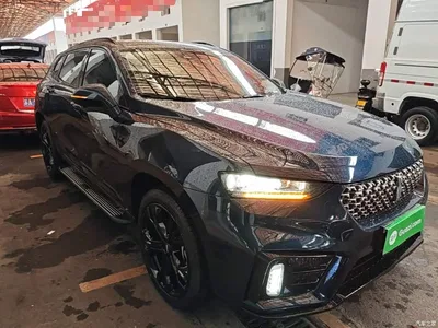 2020 WEY VV7 Model 2.0T Flagship, фото 4, лот 10388657