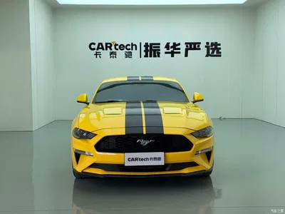 2019 Ford Mustang 2.3L EcoBoost, фото 2, лот 10297477