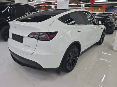 2024 Tesla Model Y Rear-Wheel Drive Version, фото 3, лот 10616637