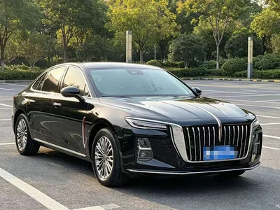 2024 Hongqi H5 2.0T Automatic Smart Connect Flag Smooth Edition, фото 3, лот 11011356