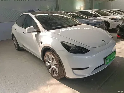2022 Tesla Model Y Rear-Wheel Drive Version, фото 4, лот 10374248