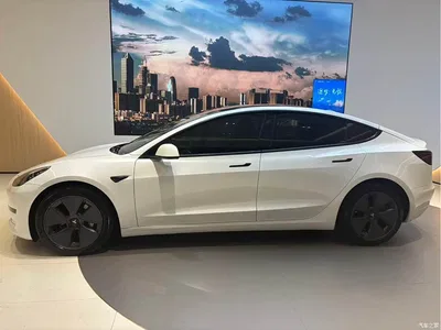 2021 Tesla Model 3 Standard Range Rear-Wheel Drive Upgrade, фото 3, лот 10353478