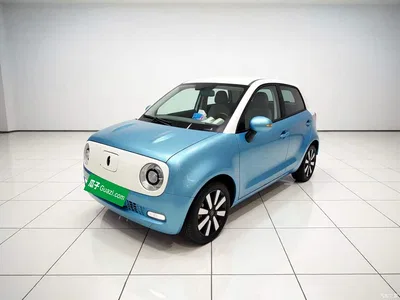 2021 Ora Black Cat 351km Standard Model, фото 2, лот 10330565