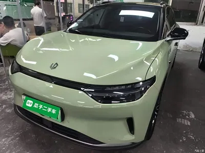2021 Leapmotor C11 Facelift Luxury Edition, фото 1, лот 10955087