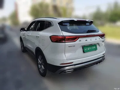 2021 Haval H6 National Trend Edition 1.5GDIT Automatic Champion Edition, фото 4, лот 10300805