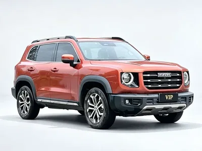 2022 Haval Big Dog 1.5T DCT FWD Malinois Edition, фото 4, лот 10362002