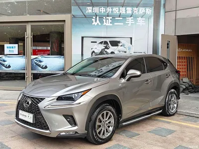 2018 Lexus NX Model 300 FWD Fengxing Edition, фото 1, лот 10888998