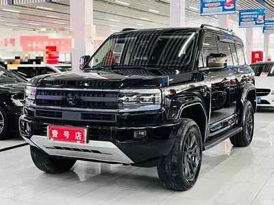 2025 Byd Leopard 5 Celestial Smart Drive Ultra Edition, фото 1, лот 10828743
