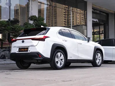 2020 Lexus UX 260h Explore Fun Edition, фото 3, лот 11241599