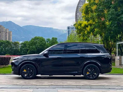 2023 Li Auto Li L8 Pro, фото 3, лот 10824453