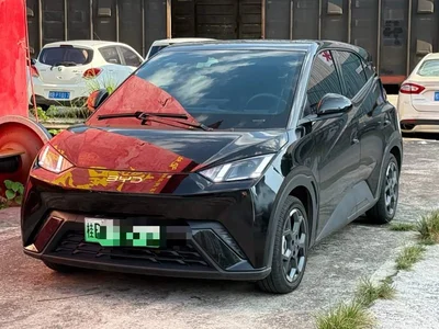 2024 BYD Seagull Glory Edition 405km Soaring Edition, фото 1, лот 10434959