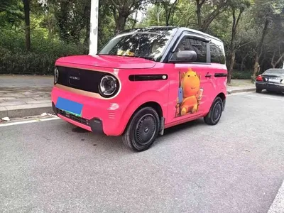2023 Geely Galaxy Panda Mini 200km Lively Bear, фото 1, лот 10430563