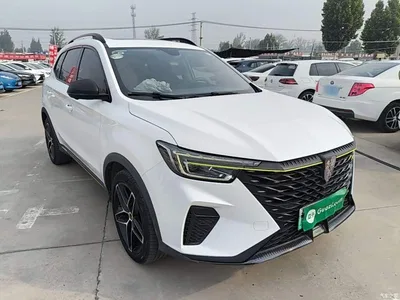 2021 Roewe RX5 New Energy Model ePLUS National Trend Ronglin Luxury Edition, фото 4, лот 11067805