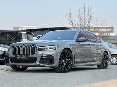2019 BMW 7 Series Facelift 730Li M Sport Package, фото 1, лот 10237622