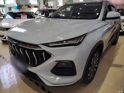 2021 Changan Oshan Changan Oushang X5 1.5T DCT Premium, фото 1, лот 11162703