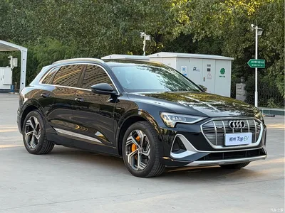 2021 Audi e-tron 50 quattro Exclusive Selection, фото 3, лот 10509385