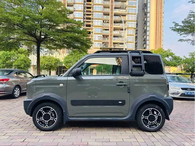 2025 Geely Galaxy Panda Model Year 210km Panda Knight, фото 2, лот 10431247