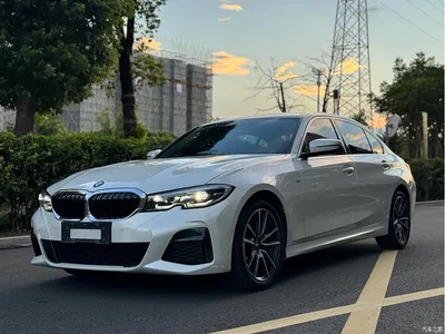 2020 BMW 3 Series 320Li M Sport Package, фото 1, лот 10457277
