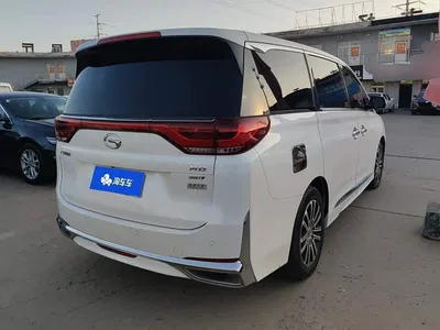 2021 GAC Trumpchi Trumpchi M8 Leading Show Series 390T Prestige Edition, фото 3, лот 10416906