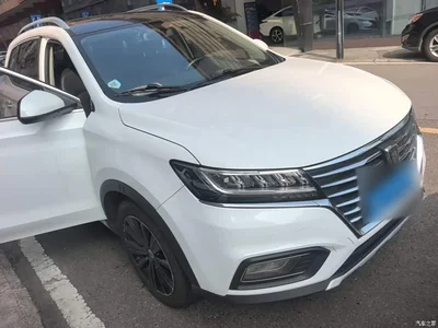 2019 Roewe RX5 20T 2WD Auto Ali Smart Connect Platinum Edition, фото 4, лот 10341125