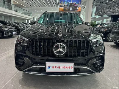 2024 Mercedes-Benz GLE 450 4MATIC Luxury, фото 2, лот 10405211