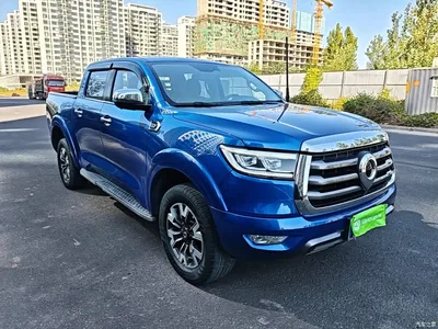 2021 Great Wall Pao 2.0T Passenger Global Edition Automatic Gasoline 2WD Comfort Standard Box GW4C20B, фото 4, лот 11545632