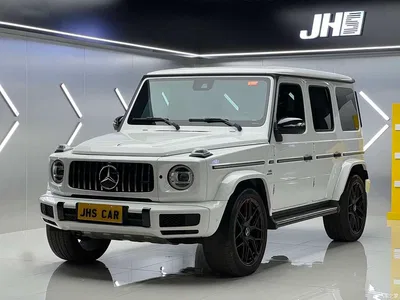 2020 Mercedes-Benz G-Class G 500 Dark Night Special Edition, фото 1, лот 10281034