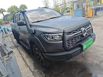 2023 Great Wall Pao 2.0T Off-Road Edition Automatic Diesel 4WD Everest Edition, фото 4, лот 10248893