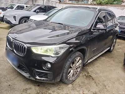 2018 BMW X1 sDrive20Li Leading Model, фото 1, лот 11197187