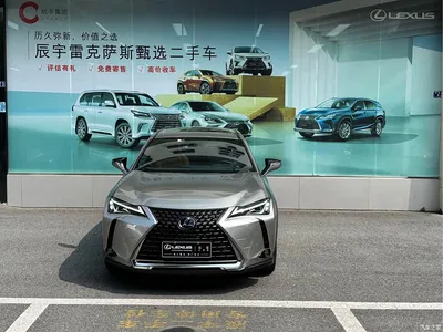 2020 Lexus UX 260h Explore Fun Edition, фото 1, лот 11215166