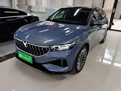 2021 Voyah Auto VOYAH FREE AWD Standard Pure Electric Exclusive Luxury Package, фото 2, лот 10311735