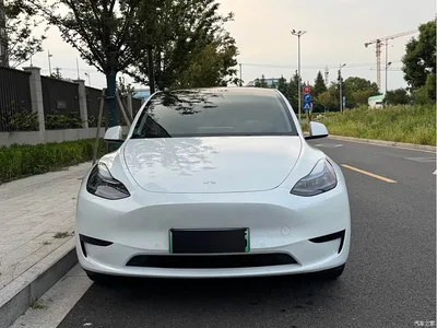 2023 Tesla Model Y Rear-Wheel Drive Edition, фото 2, лот 10395588