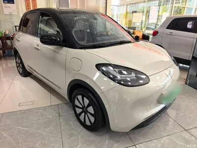 2023 Wuling Motors Wuling Bingo 410km Lingxi Premium Edition, фото 4, лот 10828517