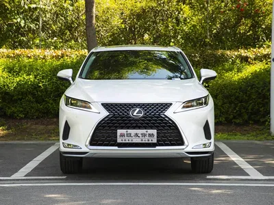 2020 Lexus RX 300 2WD Elite Edition China VI, фото 2, лот 10444640