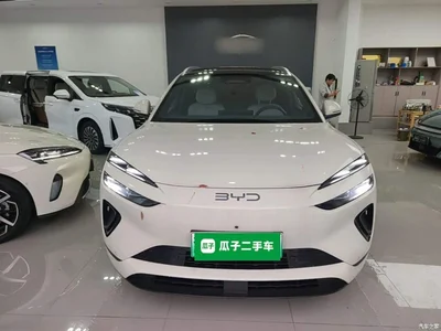 2025 BYD Sealion 06 New Energy DM-i 170 Pilot Pro Edition, фото 3, лот 11502874