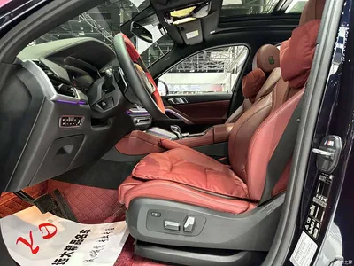2020 BMW X6 xDrive30i M Sport Package, фото 4, лот 10469203