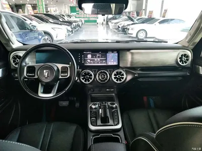 2021 Tank 300 Off-road Version 2.0T Conqueror, фото 4, лот 10345258